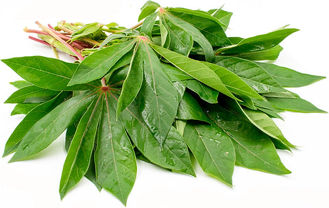 Cassava Leaves - 200g (Pre-Packed)