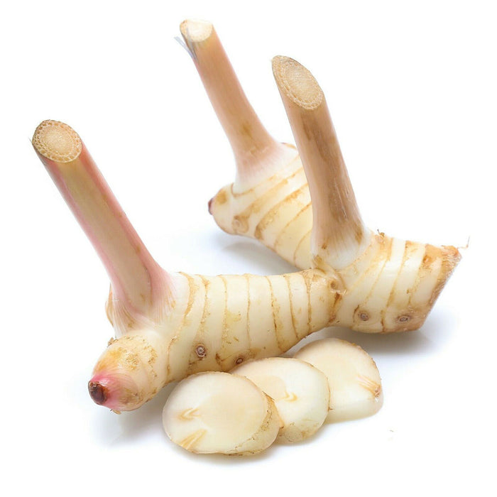 Galangal - Khaa - 100g (Pre-Packed)