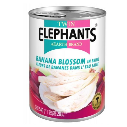 Twin Elephants & Earth Brand Banana Blossom in Brine (Slices) - 540g